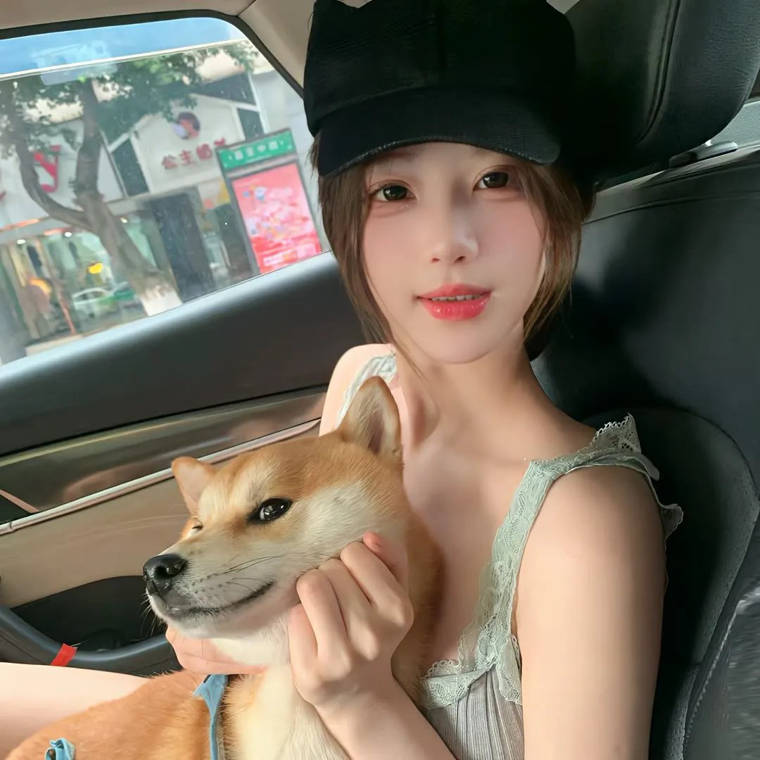 庇护